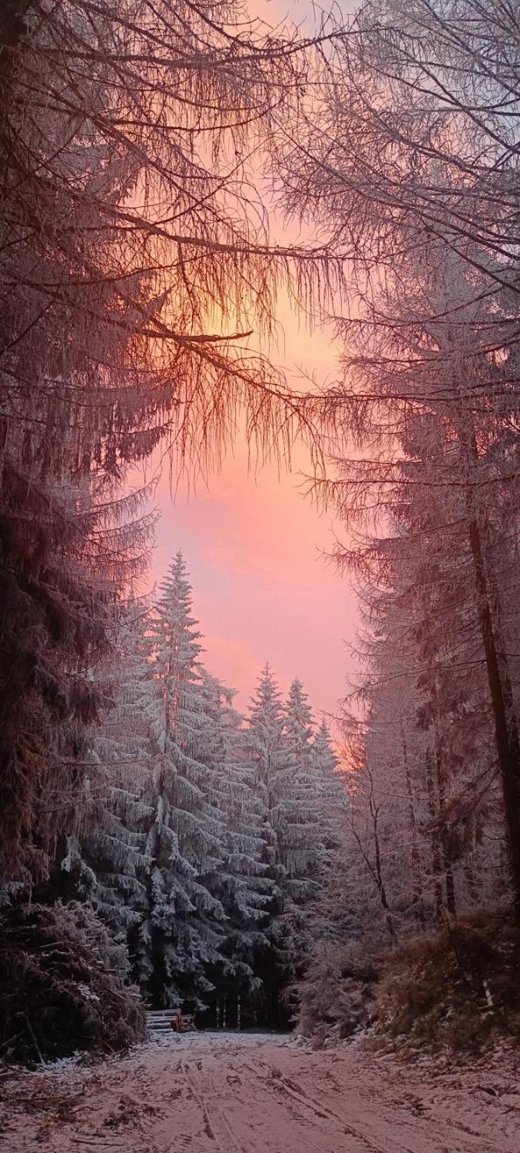 Na Potoce * Radvanice (Hradec Kralove)